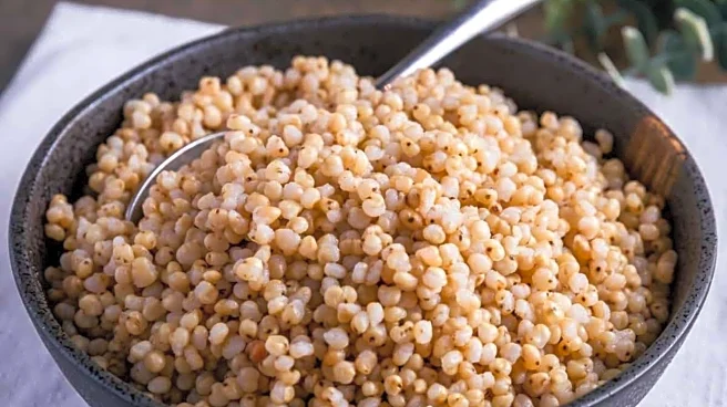 Barley v/s sorghum: Which is better for you?