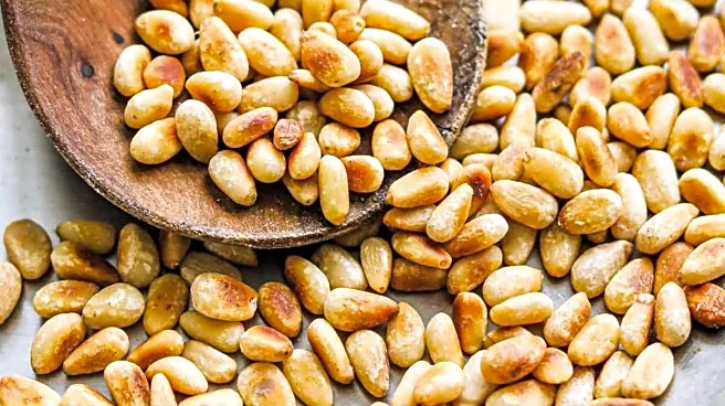 Pine nuts v/s cashews: Which is more suitable for you?