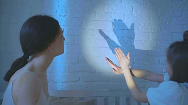 How shadow puppetry became one of the world's oldest storytelling