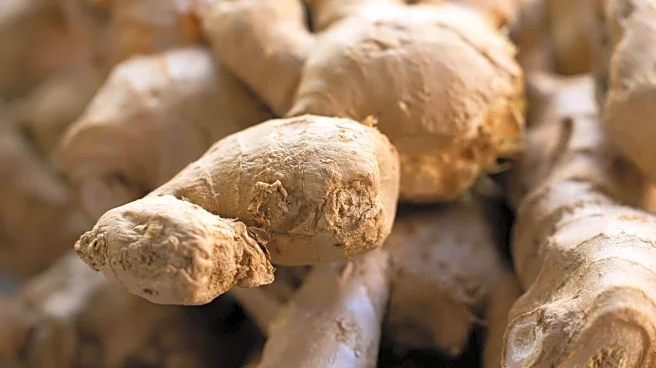 Tasty breakfast ideas featuring ginger