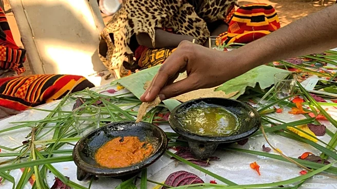 Why these African herbs are becoming global wellness favorites