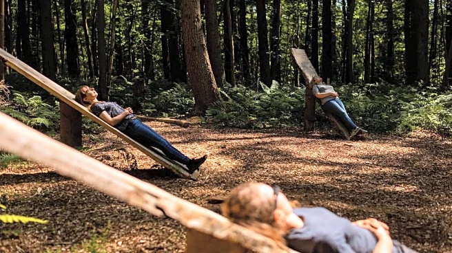 Forest-bathing 101: Concept, benefits, and practice