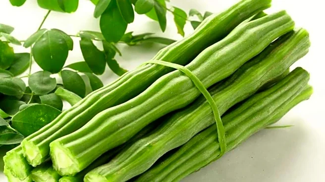 Don't like moringa? You are missing out on these benefits