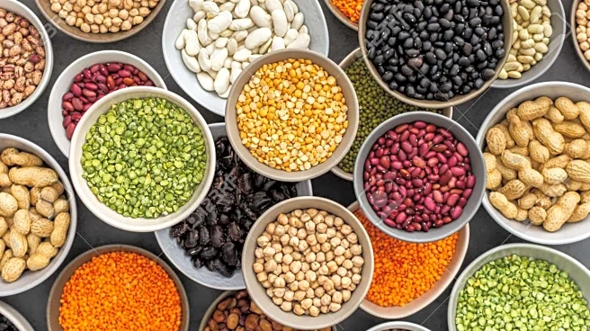 Lentils v/s peanuts: Which has more protein content?