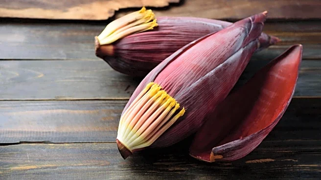 Fond of banana blossoms? 5 must-try recipes