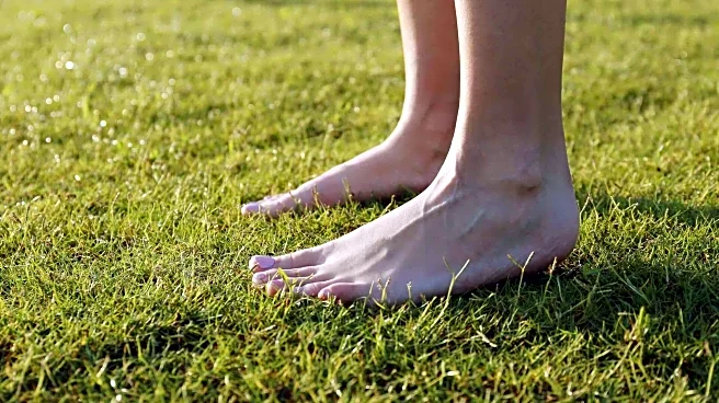 Earthing for emotional wellness: A beginner's guide