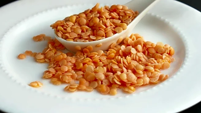 Love masoor dal? Elevate your cooking game with these recipes