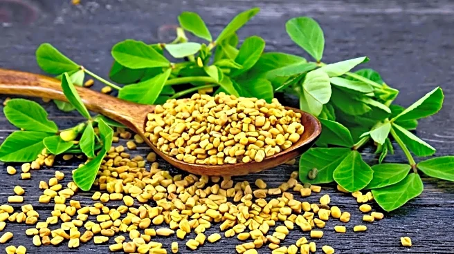 Can fenugreek seeds help with digestion? Surprising nutrition facts inside