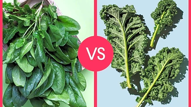 Spinach v/s kale: Which benefits your health better?