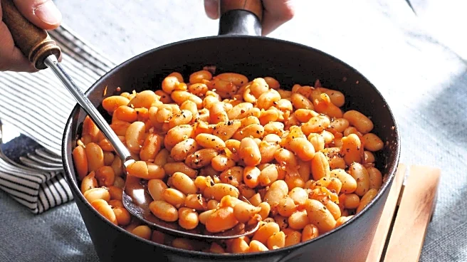 Cannellini beans: Why this superfood must be in your diet