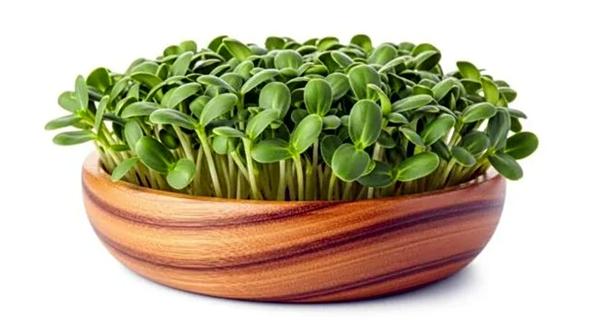 How to add sunflower microgreens to breakfast