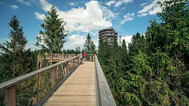 Planning a Slovakia trip? These forest canopy walks are unmissable