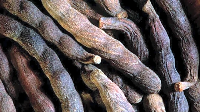 Add variety to your cooking with African black pepper