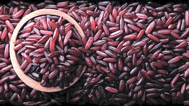 Boost your metabolism with these red rice breakfasts