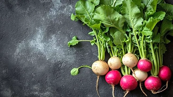 5-minute turnip salad for busy mornings