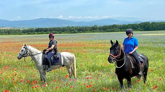 Horseback riding in Bulgaria's Rhodope Mountains: A guide