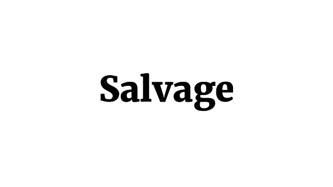 Word of the Day: Salvage