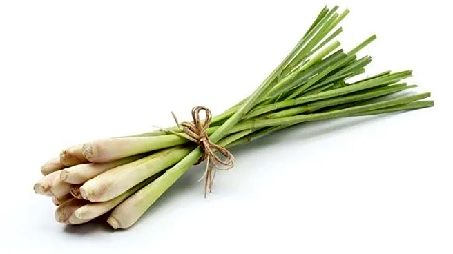 5 amazing health benefits of lemongrass