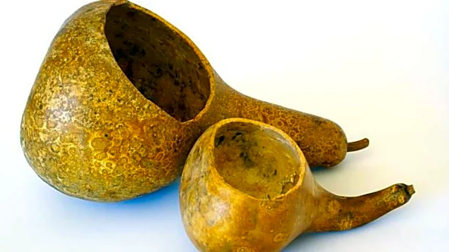 How to make calabash ladles at home