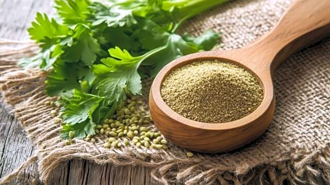 Why celery seeds are great for muscle health