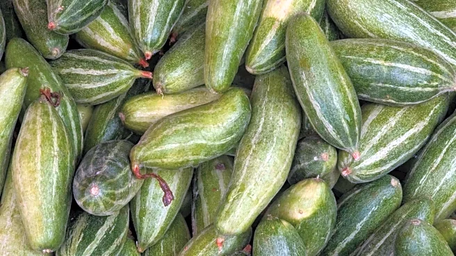 Pointed gourd v/s ivy gourd: Which is healthier?