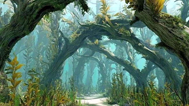 Underwater wonders in Europe: 5 sunken forests to explore