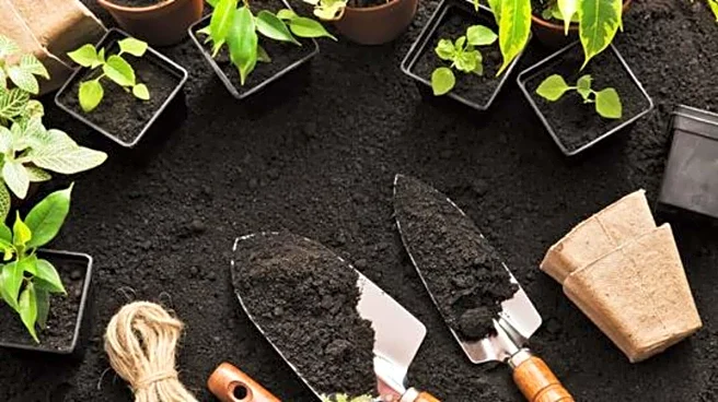 How to clean gardening tools effectively