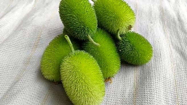 Why you should start eating spiny gourd