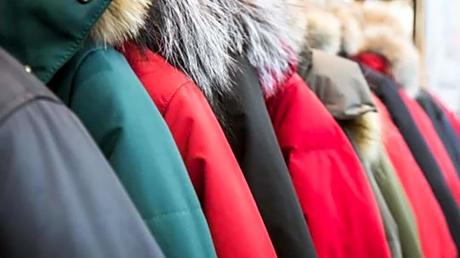 Ogee print jackets: 5 styles for winter