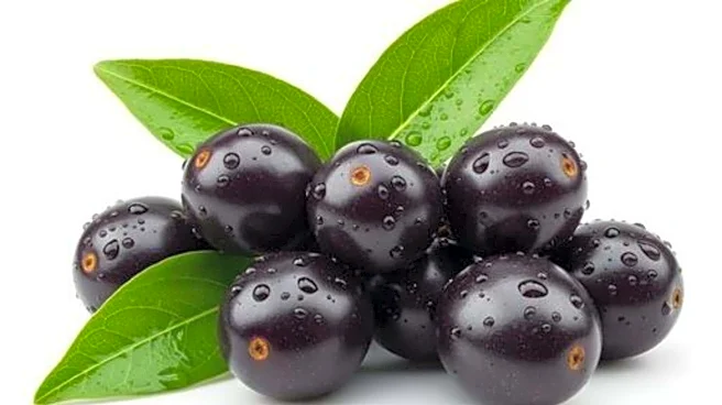 Surprising health benefits of jamun