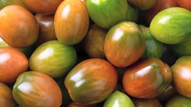 Tiger tomato: Your new skincare essential