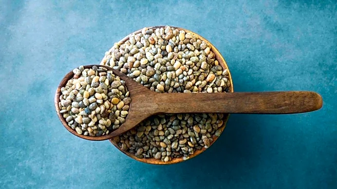 Green gram v/s horse gram: Which is better for you?