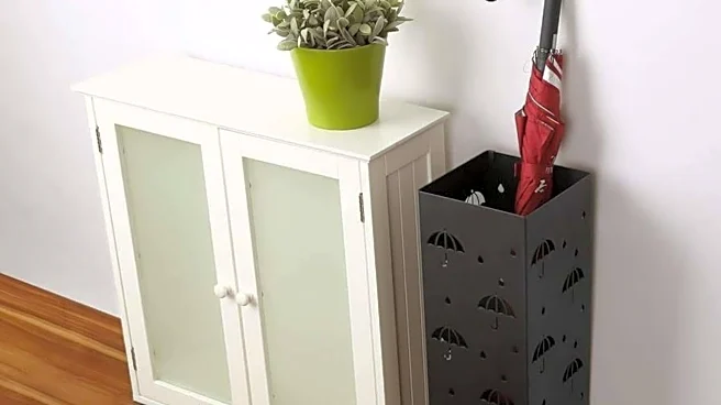 Transform your entryway with umbrella stands