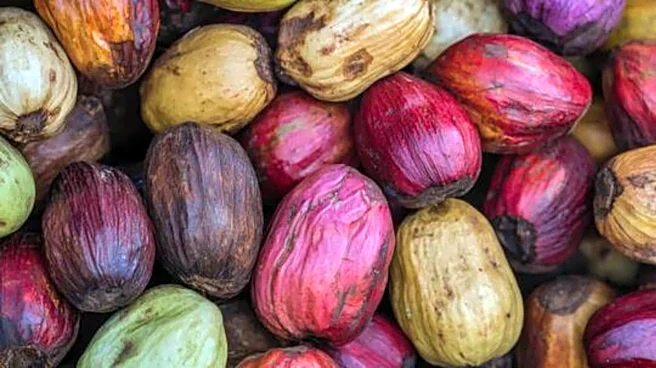 5 health benefits of bitter kola peel