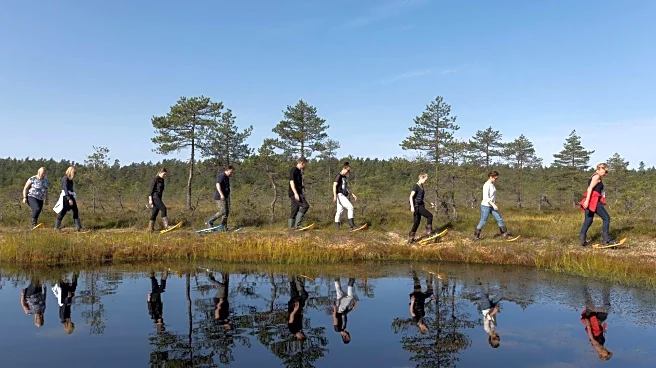 Estonia's bog-shoeing trails: A unique adventure