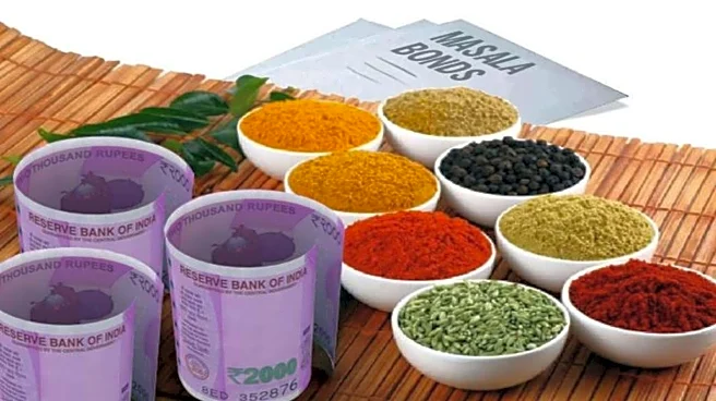 Masala bonds: What they are, how to invest