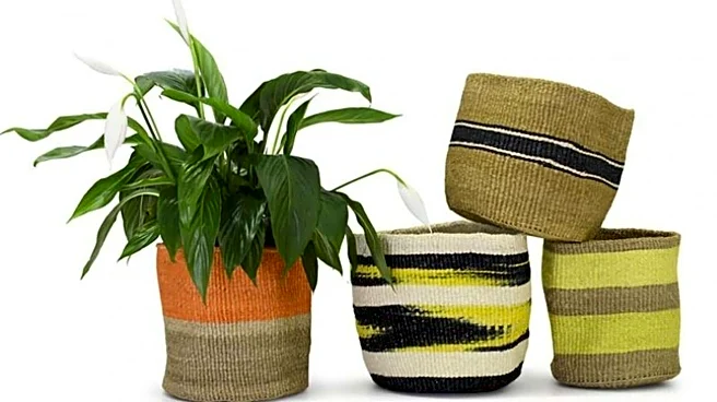 DIY: How to make Zulu-style planters at home