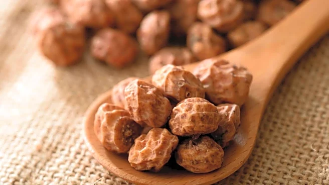 Chufa nuts: Have you tried this superfood snack yet?