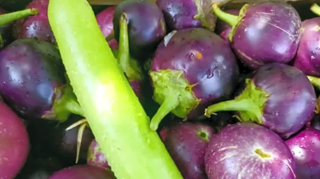 Brinjal v/s bottle gourd: Which is more nutritious?