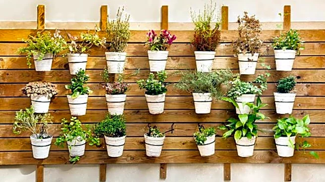 How to make plant supports using household items