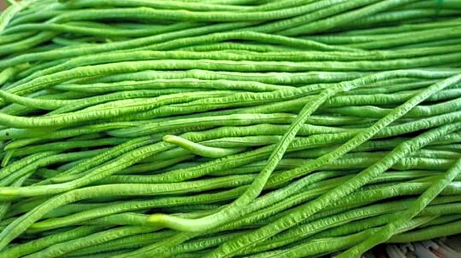 Yardlong beans: Essential gardening tips
