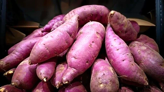 Purple yam: Nutrition, culinary uses, and more