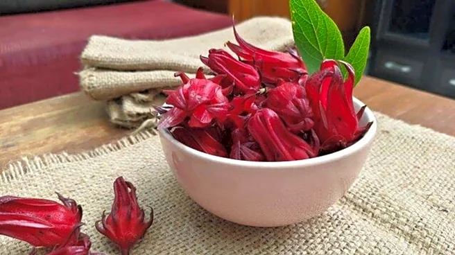 Exploring the health benefits of roselle seeds