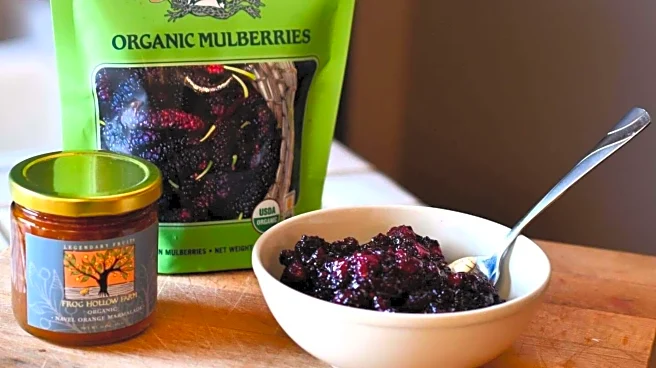 When in Kyrgyzstan, taste their mulberry-based snacks