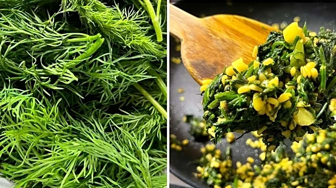 Love pairing moong dal with dill leaves? Try these dishes