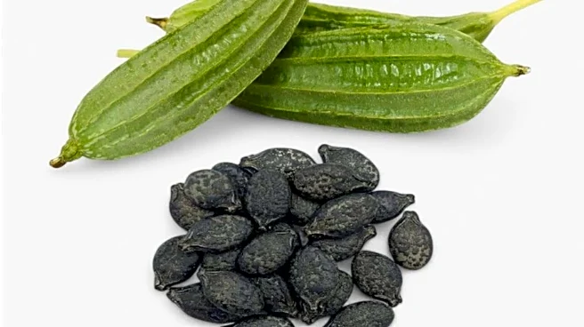 Love turai seeds? You'll enjoy these recipes