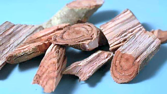 Why you should know about salacia root