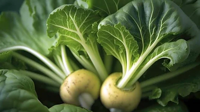 Why turnip greens are a nutritional powerhouse