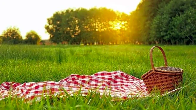 Sydney's most beautiful picnic spots: A list