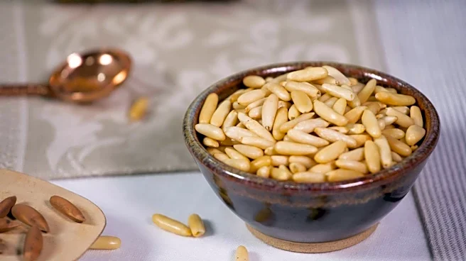 Why Chilean pine nut snacks are so famous